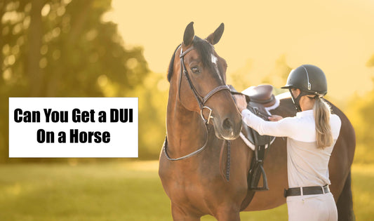 Can-you-get-a-DUI-on-a-Horse Huntley Equestrian