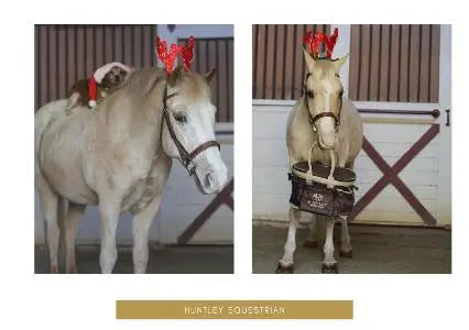 Let the Holiday Shopping Season Begin! - Huntley Equestrian