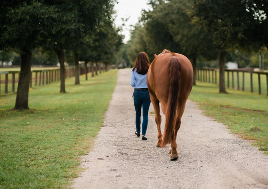 Stylish, Classic Products For The Everyday Equestrian - Huntley Equestrian