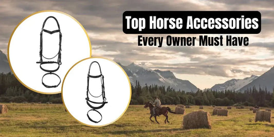 The-Must-Have-Horse-Accessories-for-Training-and-Performance Huntley Equestrian