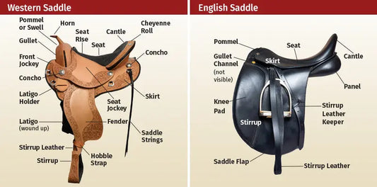 Western-vs.-English-Riding-Gear-key-Difference-and-Uses Huntley Equestrian