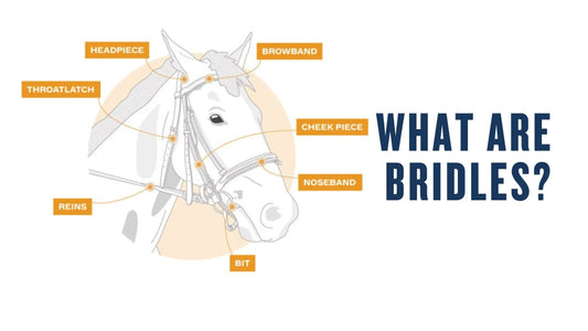 What-are-Bridles Huntley Equestrian