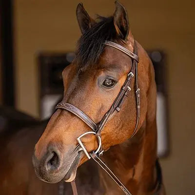 Bridles - Huntley Equestrian