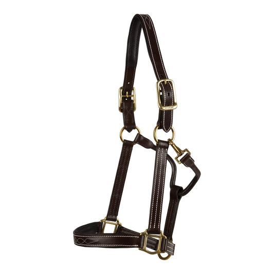 Huntley Equestrian Fancy Stitched Premium Leather Padded Halter - Huntley Equestrian