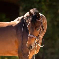 Huntley Equestrian Fancy Stitched Sedgwick Leather Padded Bridle with Reins Huntley Equestrian