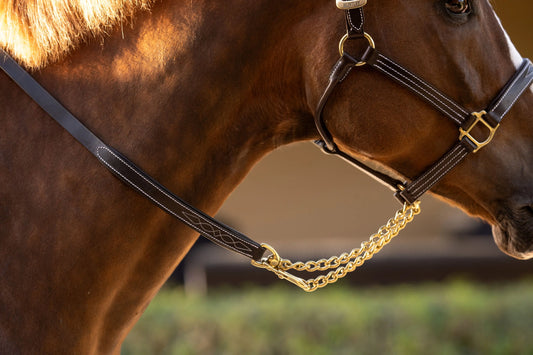 Huntley Equestrian Leather Lead with Chain - Huntley Equestrian