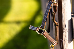 Huntley Equestrian Leather Lead with Chain - Huntley Equestrian