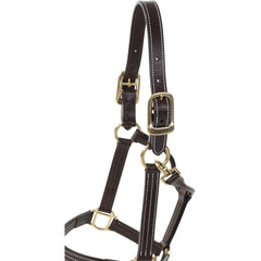 Huntley Equestrian Premium Leather Triple Stitched Halter with Snap - Huntley Equestrian