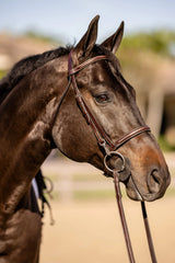 Huntley Equestrian Sedgwick Fancy Stitched Bridle with Cheek Clips and Reins - Huntley Equestrian