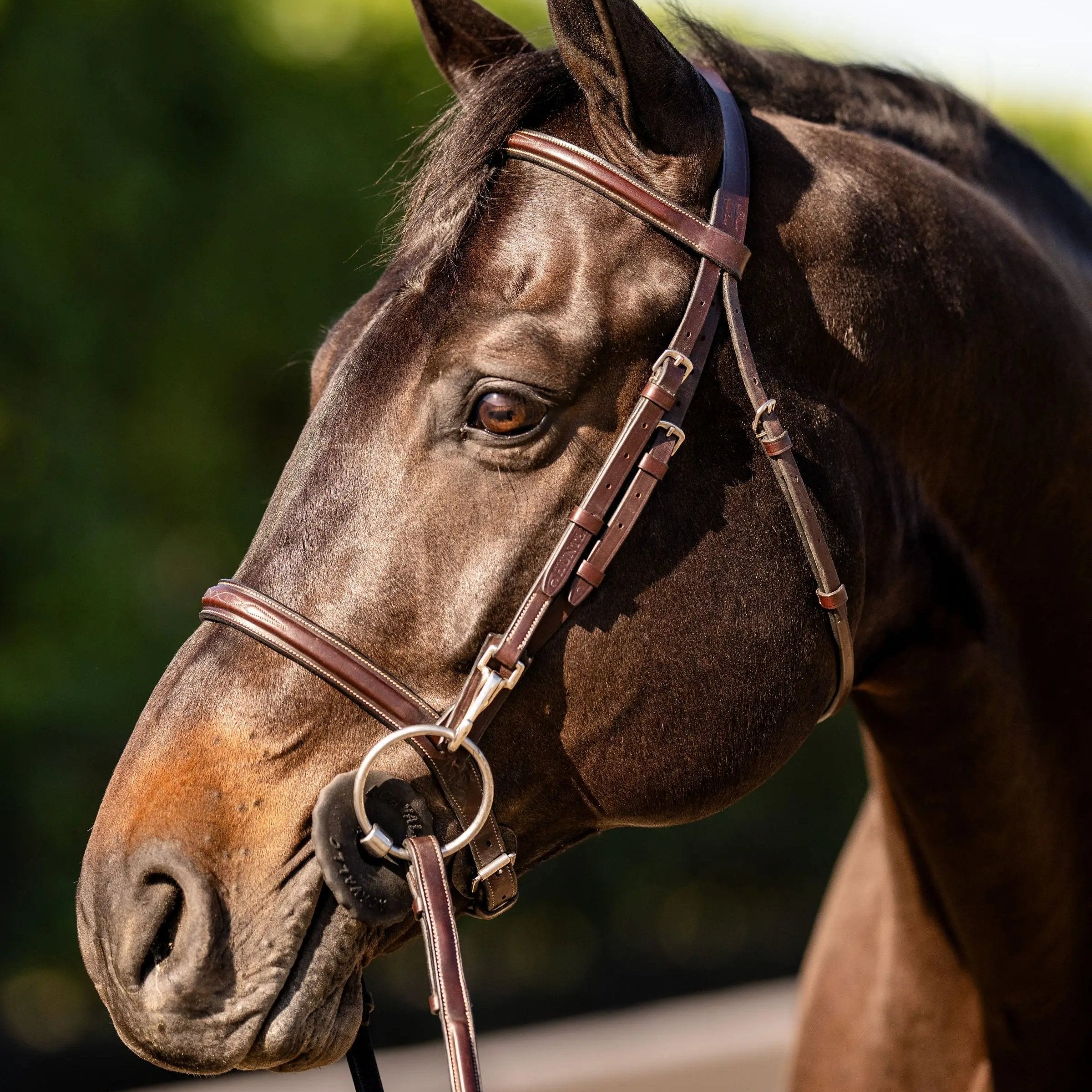 Huntley Equestrian Sedgwick Fancy Stitched Bridle with Cheek Clips and Reins - Huntley Equestrian