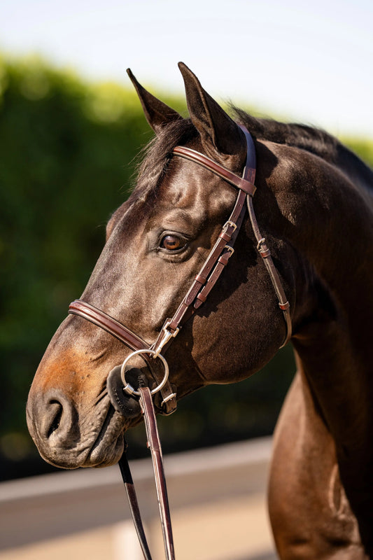 Huntley Equestrian Sedgwick Fancy Stitched Bridle with Cheek Clips and Reins - Huntley Equestrian