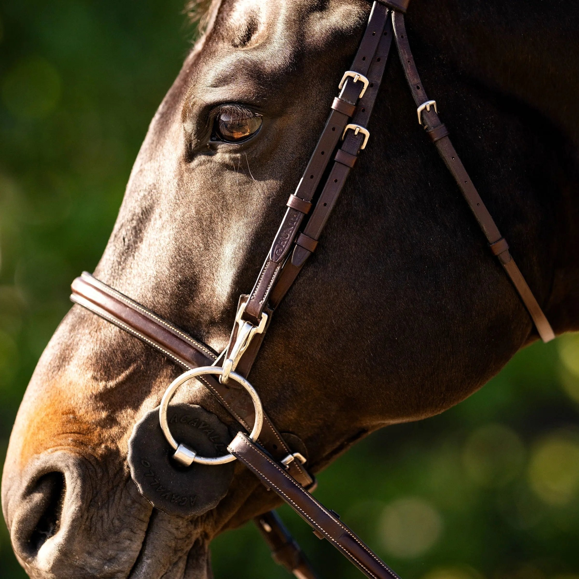 Huntley Equestrian Sedgwick Fancy Stitched Bridle with Cheek Clips and Reins - Huntley Equestrian