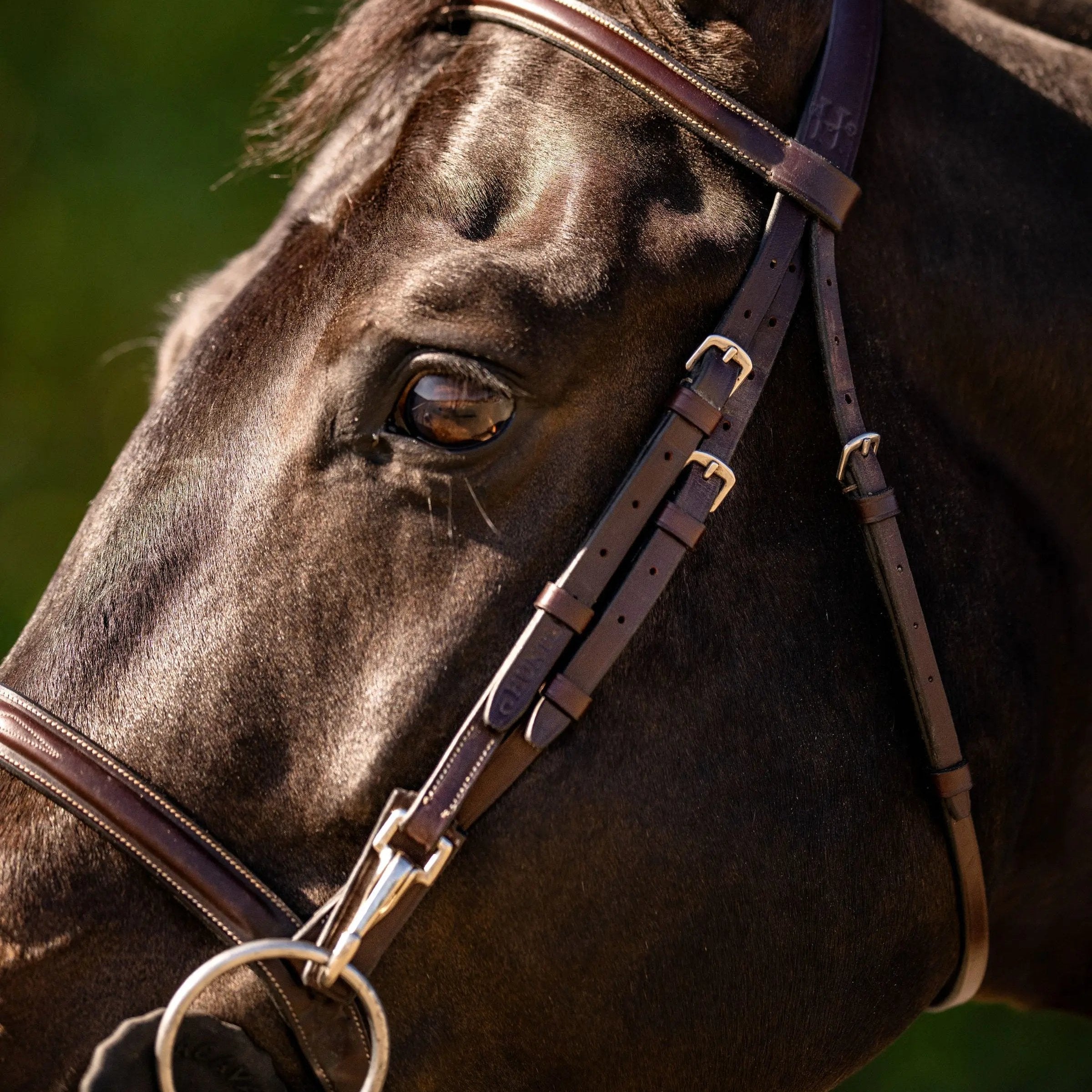 Huntley Equestrian Sedgwick Fancy Stitched Bridle with Cheek Clips and Reins - Huntley Equestrian