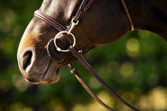 Huntley Equestrian Sedgwick Fancy Stitched Bridle with Cheek Clips and Reins - Huntley Equestrian