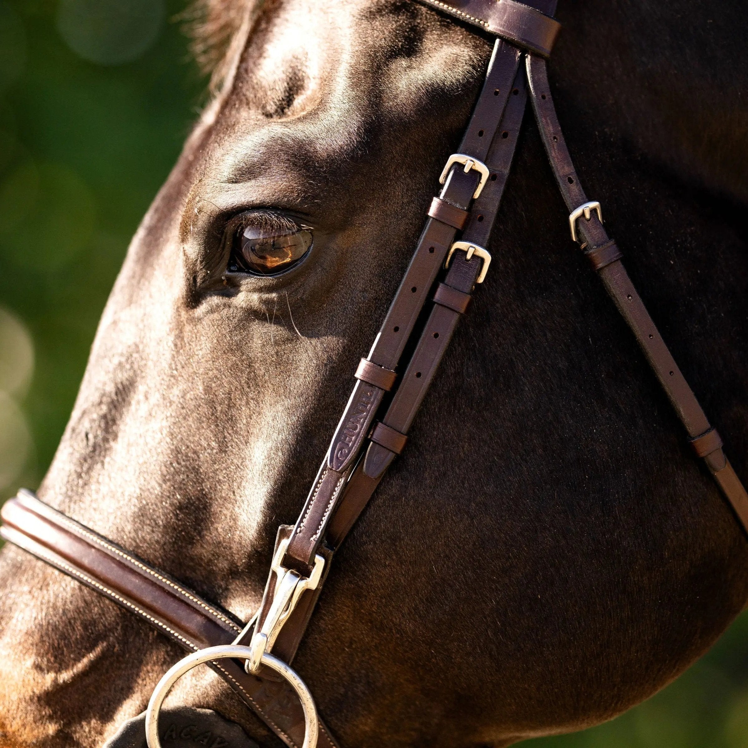 Huntley Equestrian Sedgwick Fancy Stitched Bridle with Cheek Clips and Reins - Huntley Equestrian