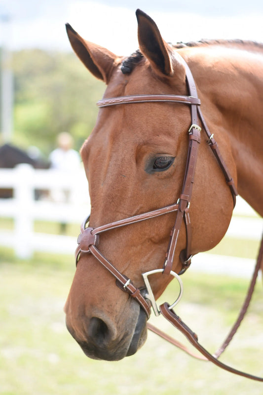 Huntley Equestrian Sedgwick Fancy Stitched Figure 8 Noseband - Huntley Equestrian