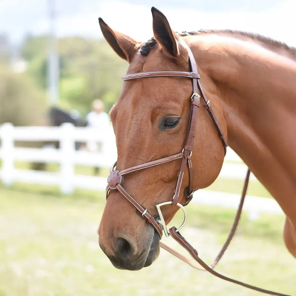 Huntley Equestrian Sedgwick Fancy Stitched Figure 8 Noseband Huntley Equestrian, LLC